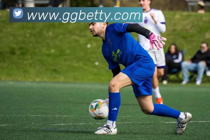 App Interface Preview